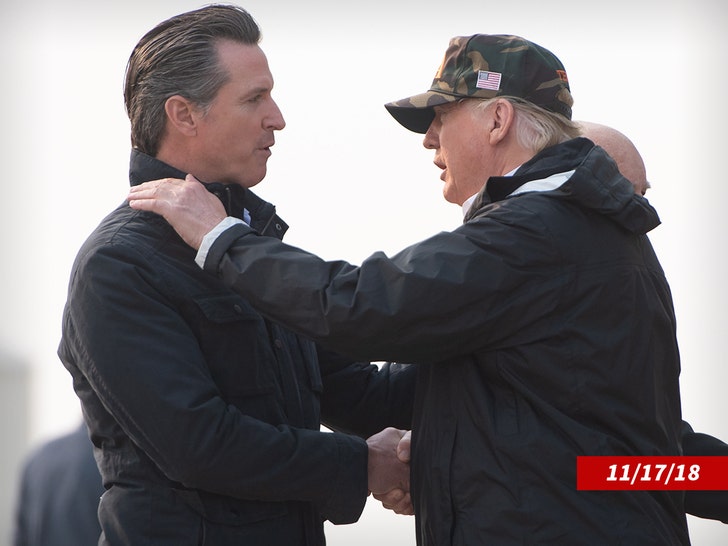 donald trump gavin newsom 2018