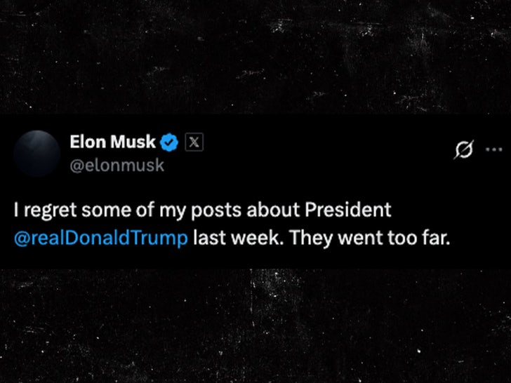 elon musk donald trump sub x