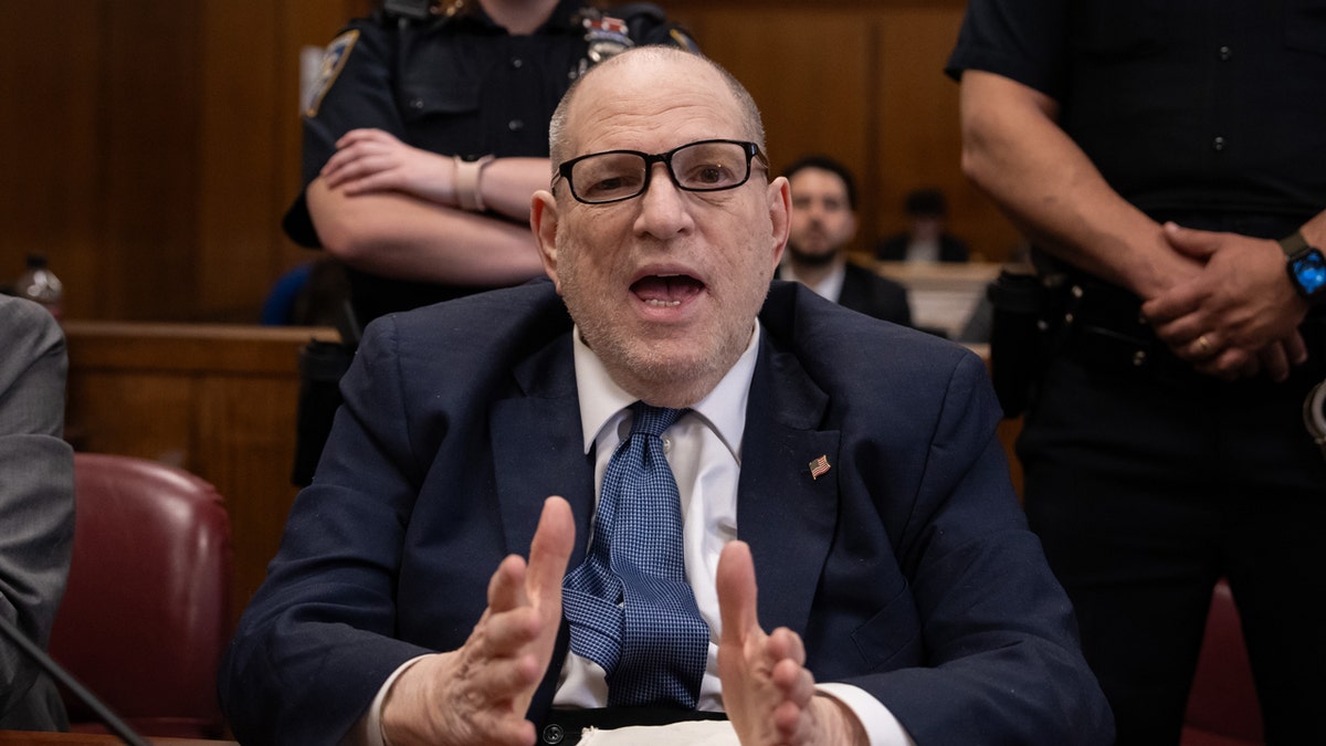 Harvey Weinstein speaks in court