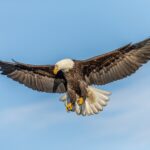 Optimising for Google's new SERP features