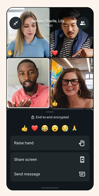 WhatsApp Group Call Options
