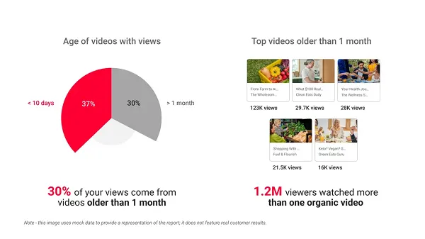 YouTube Brand Pulse Report