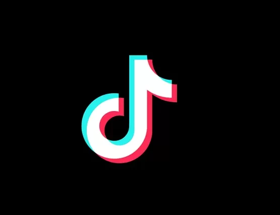 TikTok Is Making a Major Holiday Shopping Push