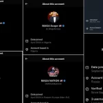 X Info Exposes Foreign Based Agitator Accounts