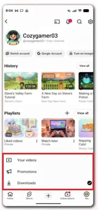 YouTube video management