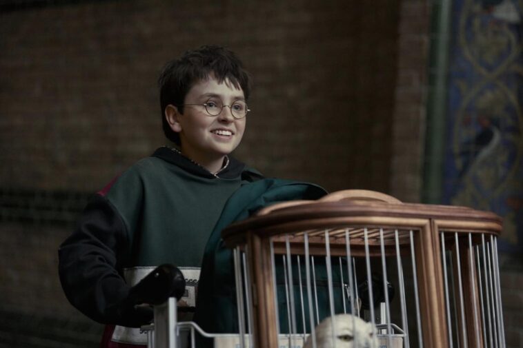 ‘Harry Potter’ TV Show Debuts First Trailer