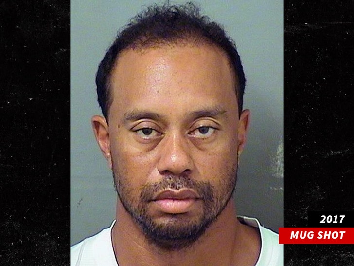 tiger woods 2017 mug shot 1