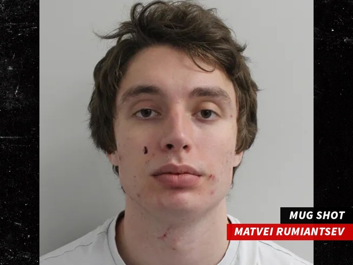 Matvei Rumiantsev METROPOLITAN POLICE