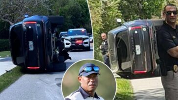 Tiger Woods charged with DUI in Florida car crash