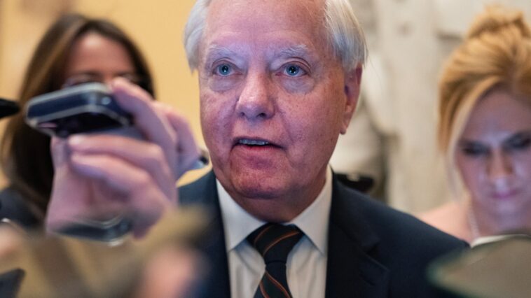 Lindsey Graham Hits Disney World as Americans Endure Airport Hell