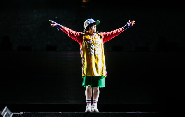 Man accused of stalking Billie Eilish killed by train in New York