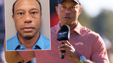 Tiger Woods' Former Employee Slams Golfer As 'A Terrible Driver' - But Doesn't Think He Was On 'Illegal Drugs' At The Time Of DUI Arrest