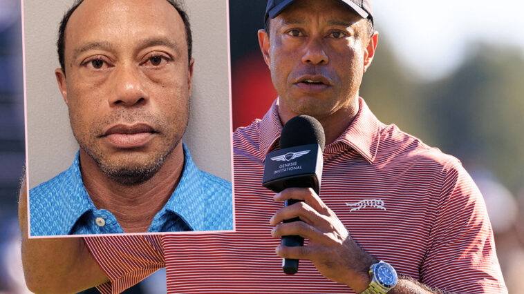 Tiger Woods' Former Employee Slams Golfer As 'A Terrible Driver' - But Doesn't Think He Was On 'Illegal Drugs' At The Time Of DUI Arrest