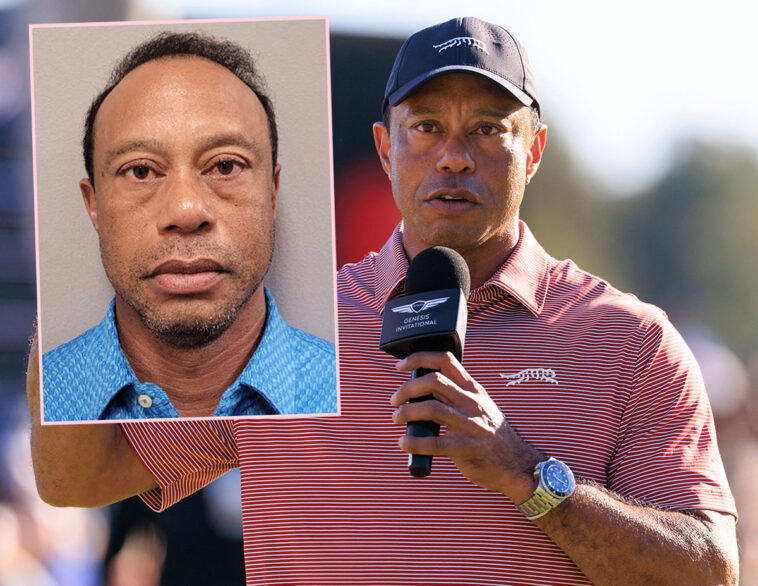 Tiger Woods' Former Employee Slams Golfer As 'A Terrible Driver' - But Doesn't Think He Was On 'Illegal Drugs' At The Time Of DUI Arrest