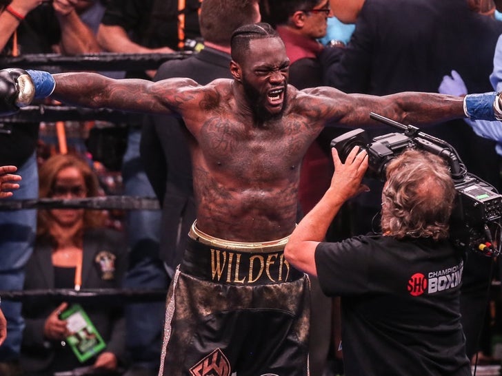 Deontay Wilder v Dominic Breazeale fight photos-14