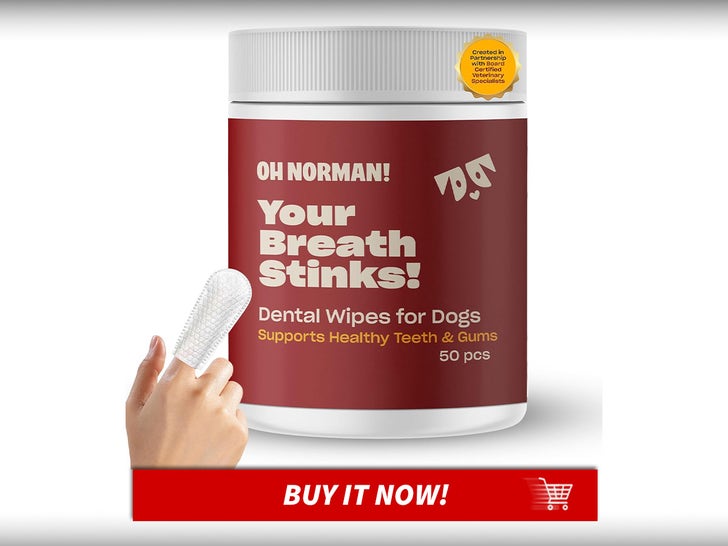 Oh-Norman-Dog-Dental-Wipes-Celeb-Pet-Products-MAIN