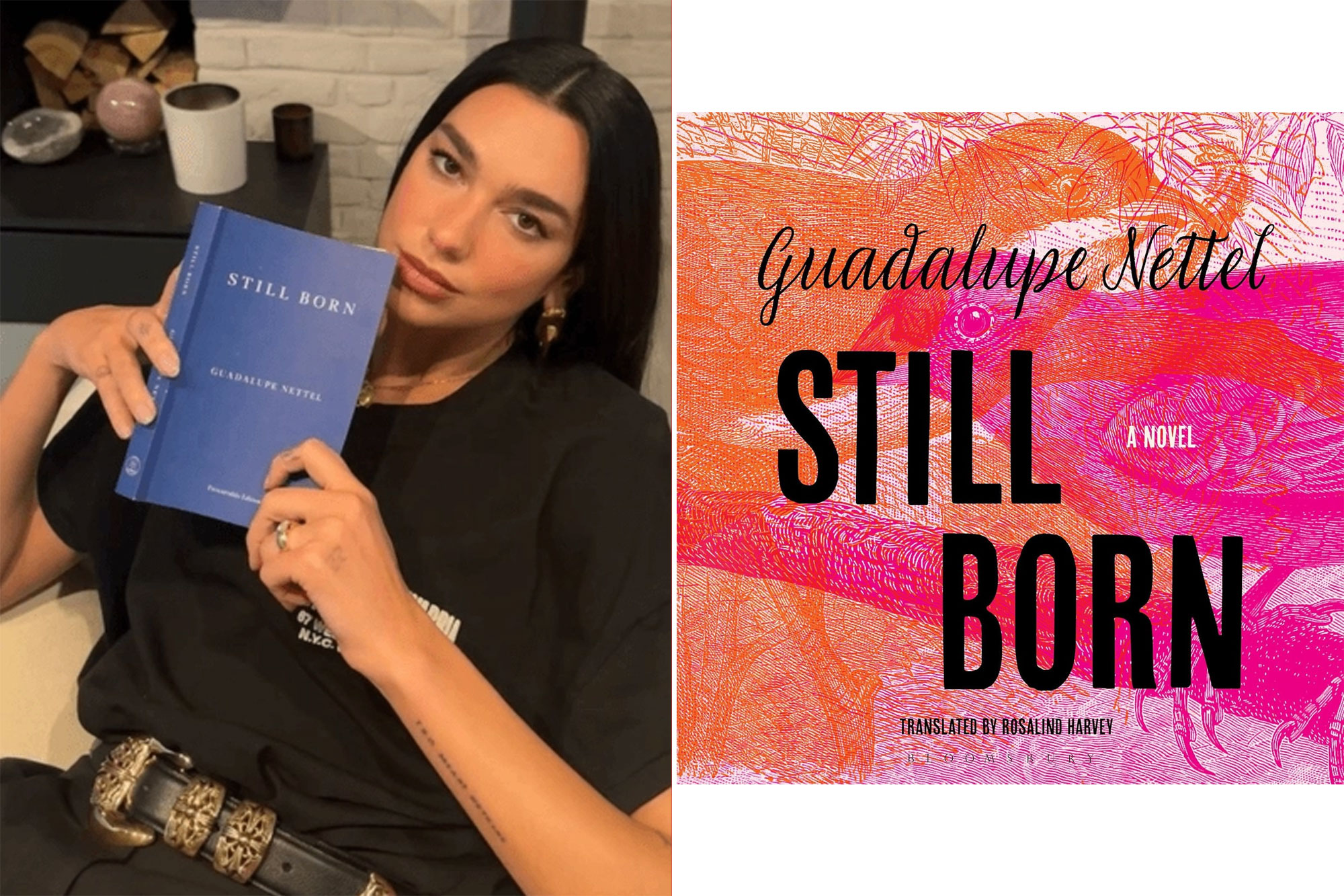 May '25: 'Still Born' by Guadalupe Nettel
