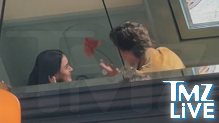 perry-trudeau-tmz-live