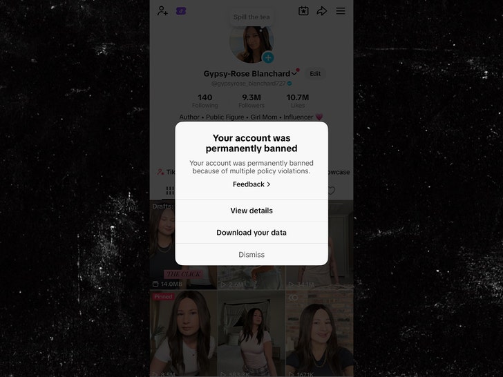 gypsy rose blanchard titktok 2
