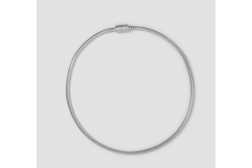 Silver snake chain necklace.