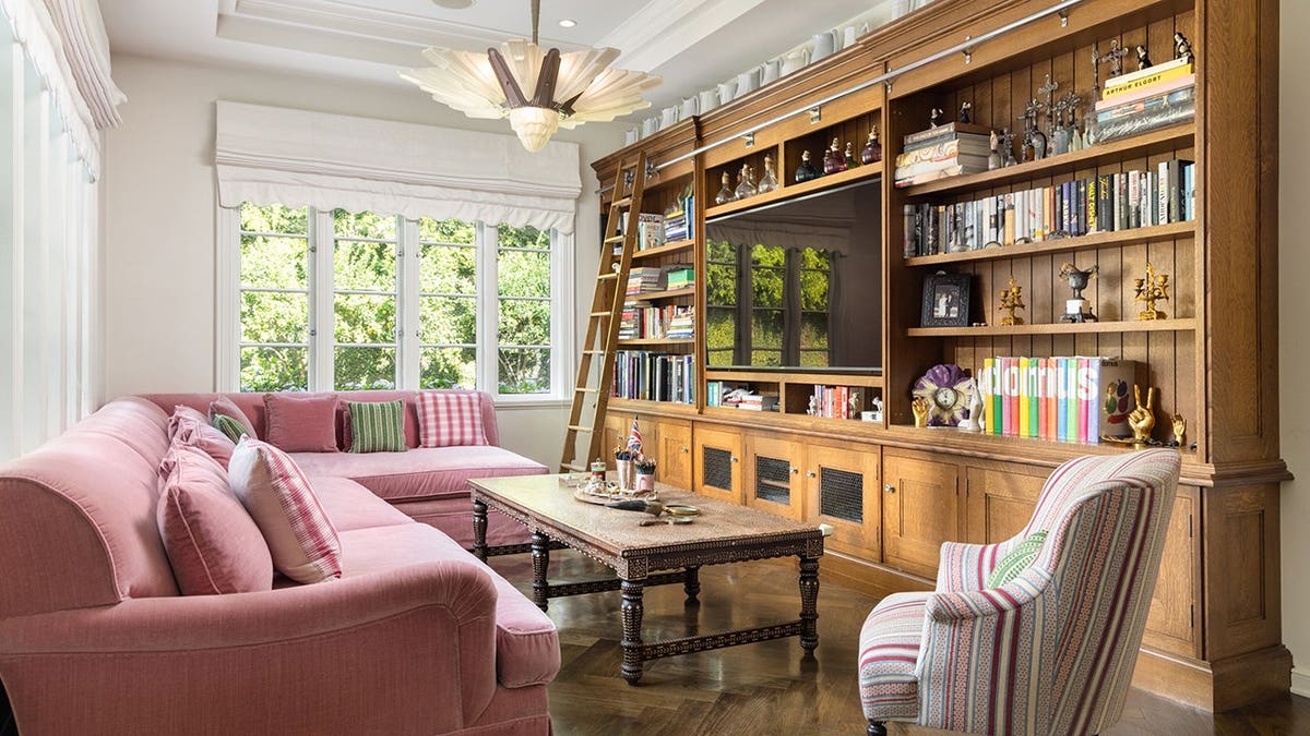 A room with a bookshelf and TV and a pink couch.