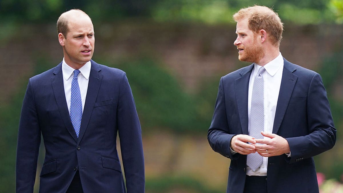 Prince William and Prince Harry in matching dark suits in deep conversation.
