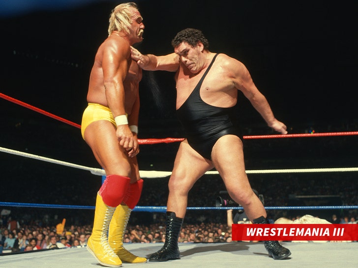 hulk-hogan-andre-the-giant-sub-getty-1
