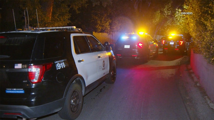 home-invasion-kal-04-17-2026