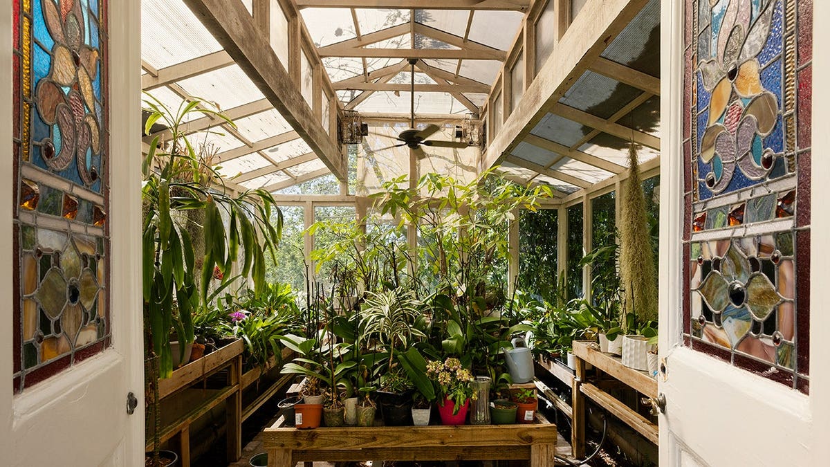 A greenhouse filled with plants of various kinds.