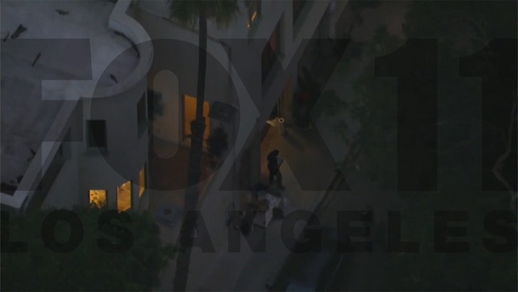 091925_d4vd_house_aerials_kal