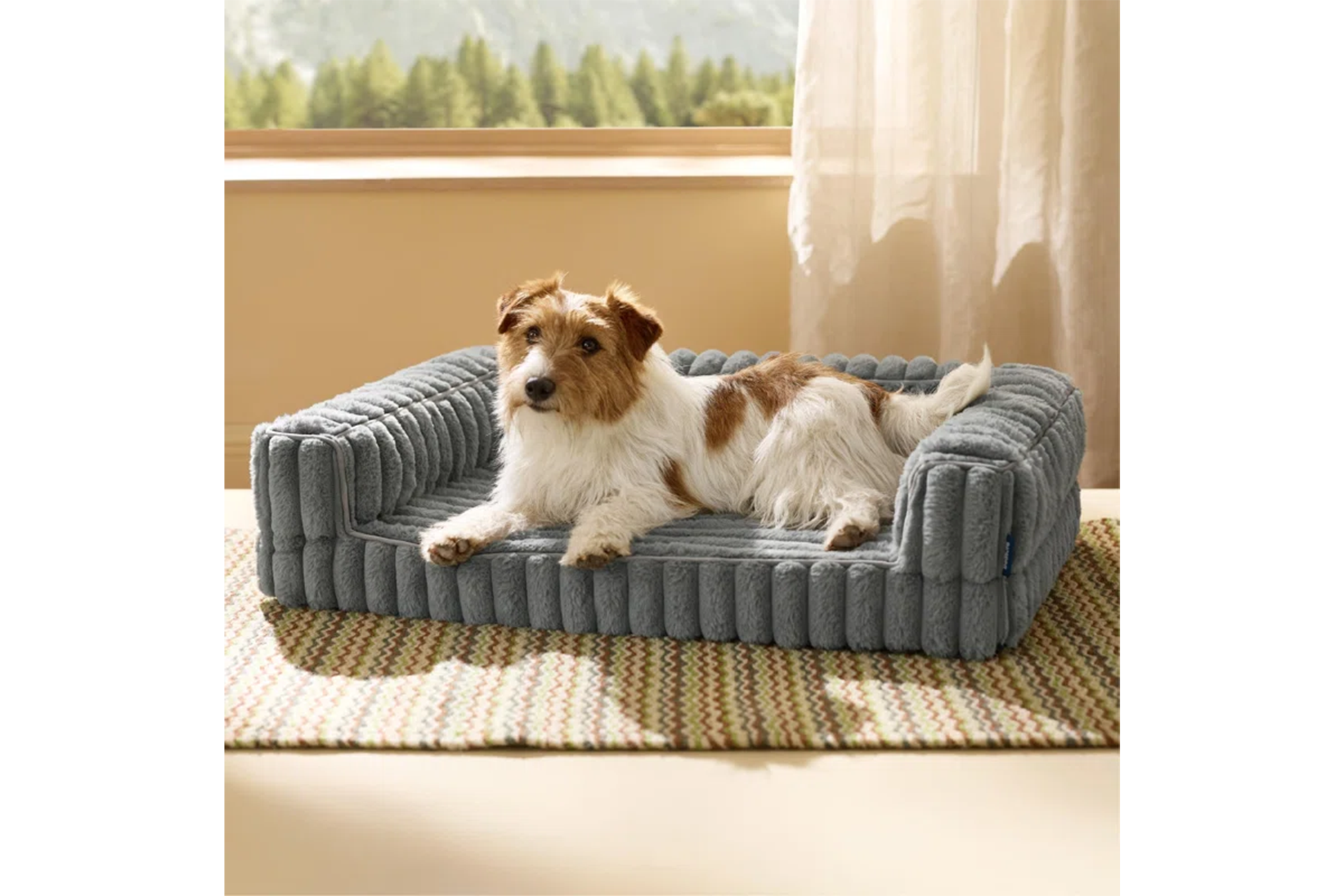 A brown and white dog lying on a gray pet sofa.