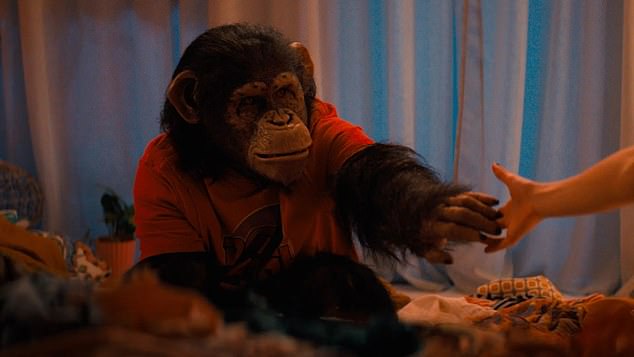 There are fewer deaths in Primate than in Shelter, but they're ten times more gruesome. The killer this time is a chimpanzee called Ben, and all it takes to turn him from a sweetheart into a psycho is a single bite from a rabid mongoose