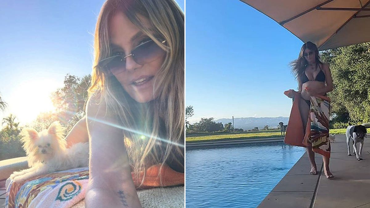Split of Heidi Klum poolside in a bikini with her dogs