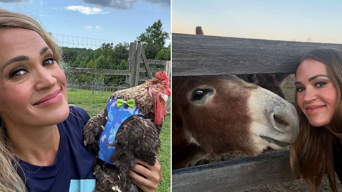 split photos - one of Carrie Underwood posing with one of her chickens and one of her posing with her donkey on her farm
