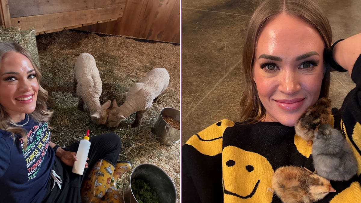 Carrie Underwood with lambs and chicks