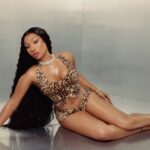 Where to Shop Megan Thee Stallion x True Religion Clothing Collab Online