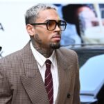 Chris Brown Wants Rihanna Assault Barred From Dog Attack Trial