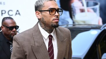 Chris Brown Wants Rihanna Assault Barred From Dog Attack Trial