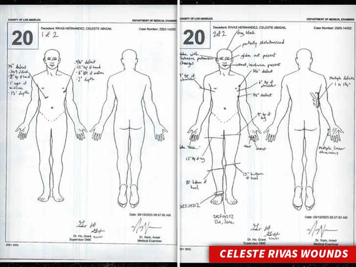 sub Celeste Rivas Wounds diagram doc