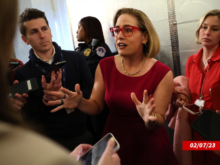 krysten sinema getty 3