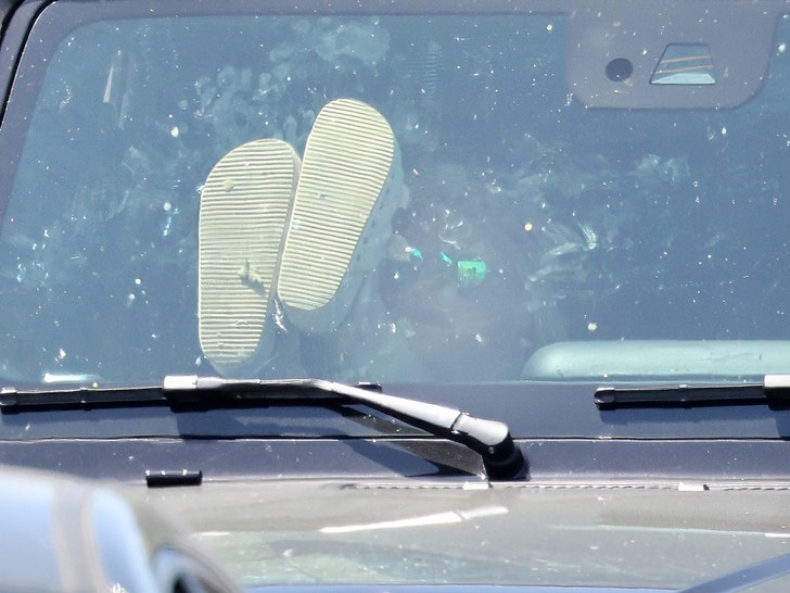 Britney-Spears-backgrid-2