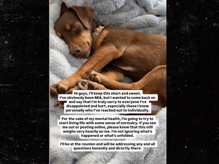 Amanda Batula Posts Statement instagram