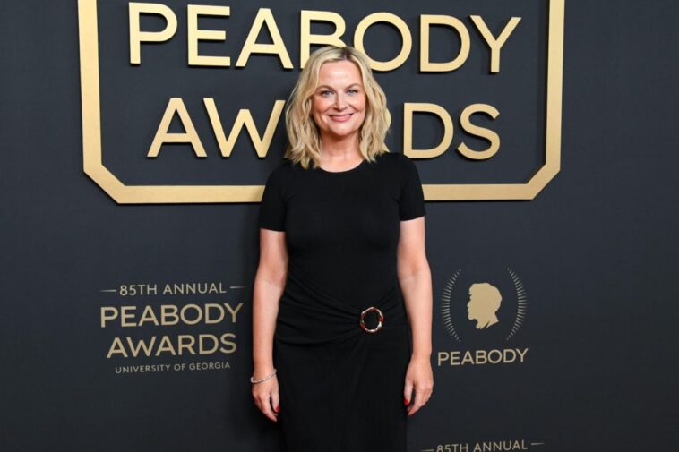 Amy Poehler, James L. Brooks to Be Honored at 2026 Peabody Awards