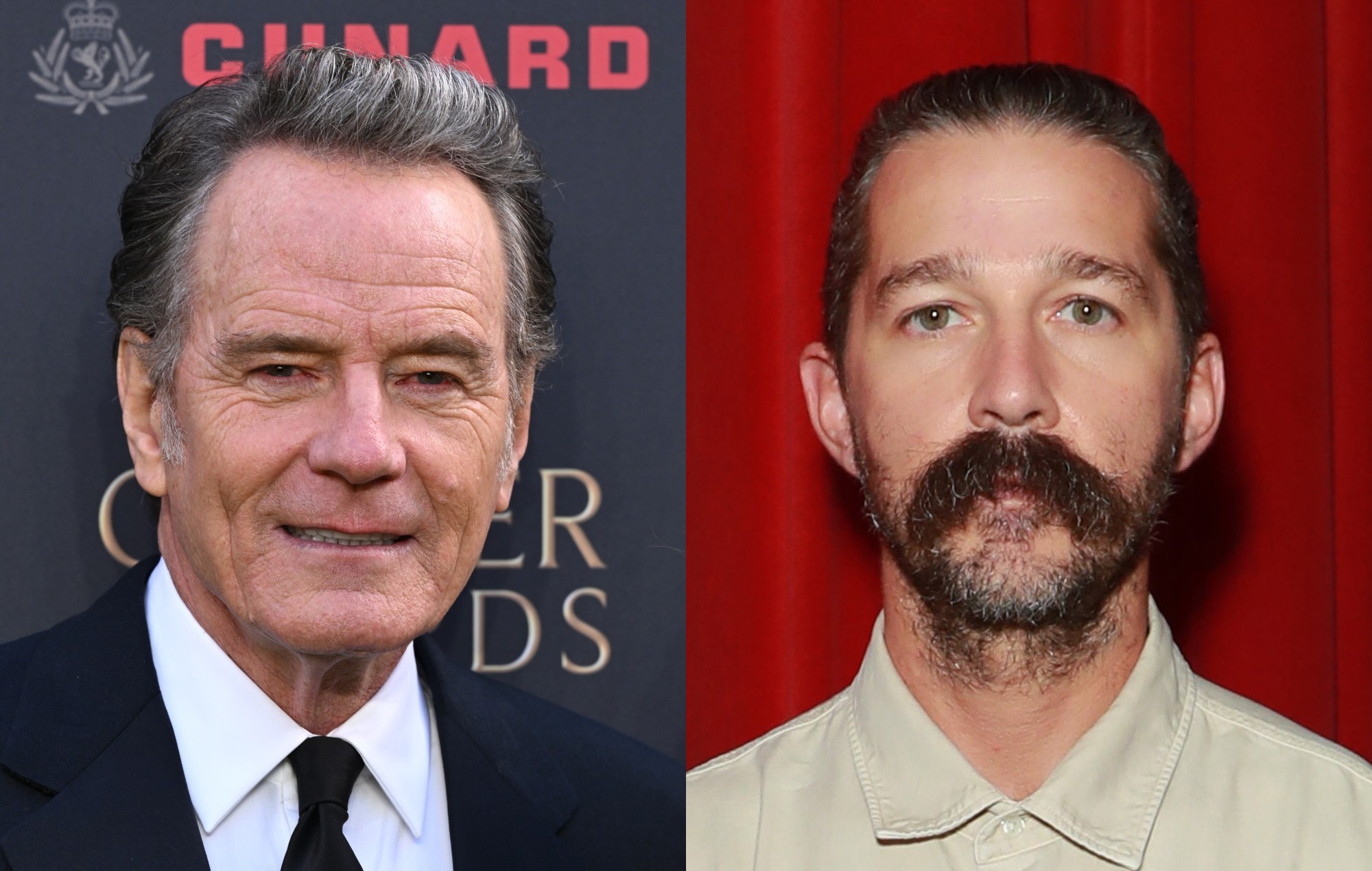 Bryan Cranston mocks Shia LaBeouf, tells him to "get some help"