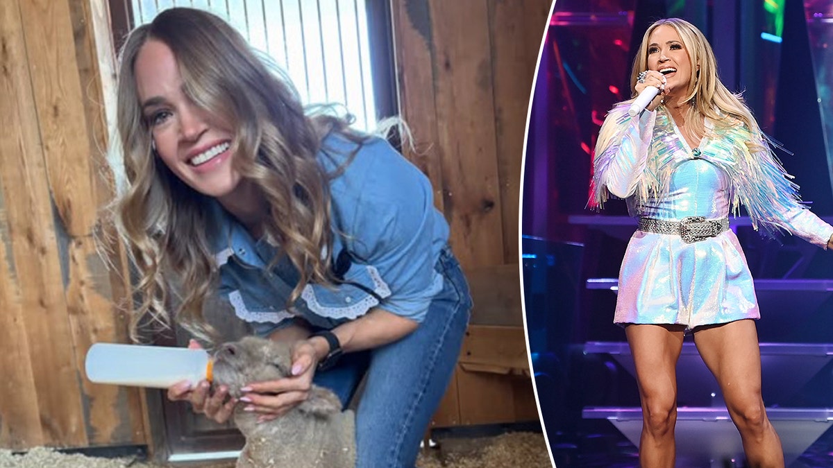 Carrie Underwood feeding her sheep on her farm split with Carrie on stage