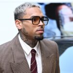 Chris Brown Battling To Exclude Rihanna Assault at Dog Bite Trial