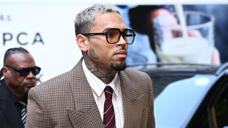 Chris Brown Battling To Exclude Rihanna Assault at Dog Bite Trial