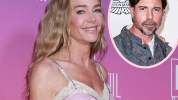 Denise Richards Finally Scores HUGE Win Amid Aaron Phypers Divorce! 