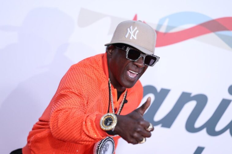 Flavor Flav Throws First Pitch at Red Sox Game at Fenway Park: Video