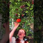 Got It! - Perez Hilton